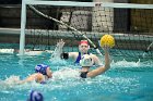 WWPolo vs CC  Wheaton College Women’s Water Polo compete in their sports inaugural match vs Connecticut College. - Photo By: KEITH NORDSTROM : Wheaton, water polo, inaugural